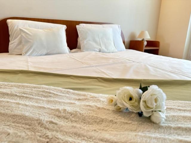 Cozy Garden Apartman Apartment Gyula Ngoại thất bức ảnh