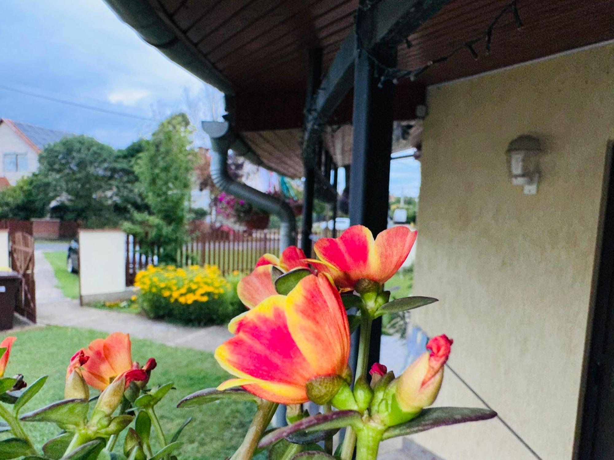 Cozy Garden Apartman Apartment Gyula Ngoại thất bức ảnh
