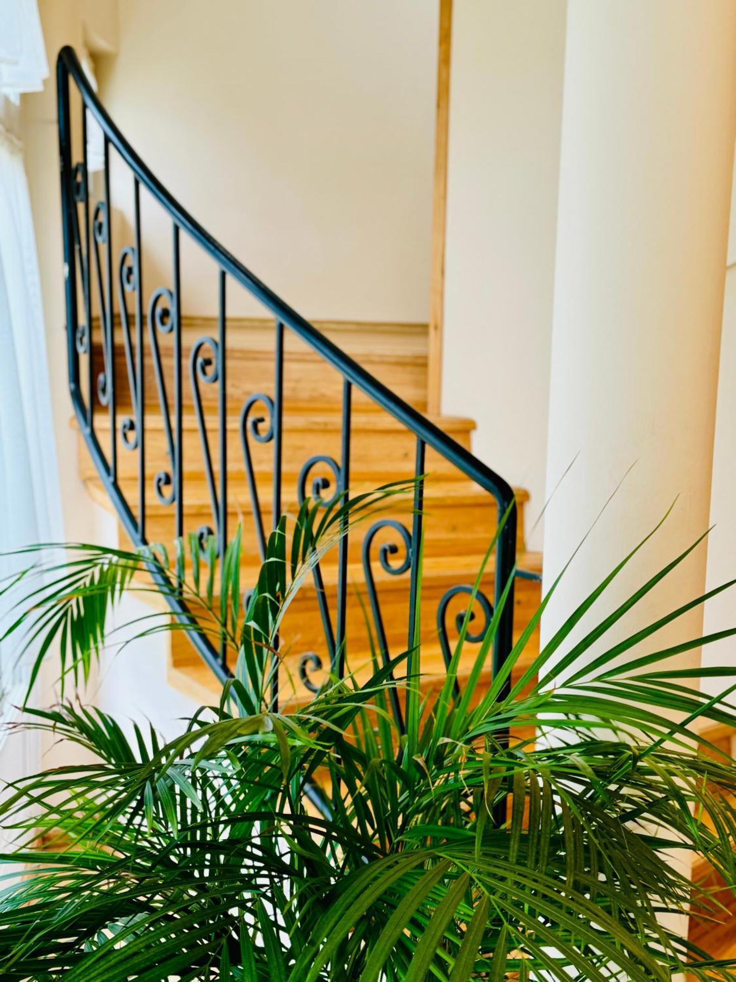 Cozy Garden Apartman Apartment Gyula Ngoại thất bức ảnh